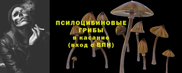амф Кукмор
