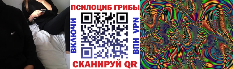 kraken сайт Среднеколымск Галлюциногенные грибы Magic Shrooms